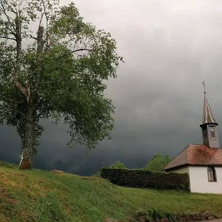 Отель Le Brabant Bar-hotel-restaurant Ла-Бресс
