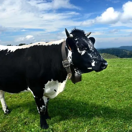 Le Brabant Bar-hotel-restaurant Otel La Bresse