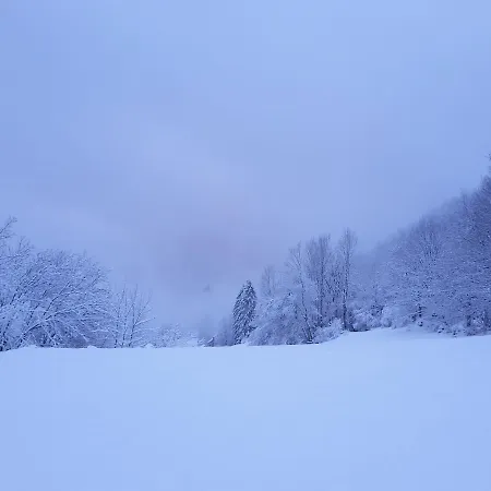 Le Brabant Bar-hotel-restaurant Отель