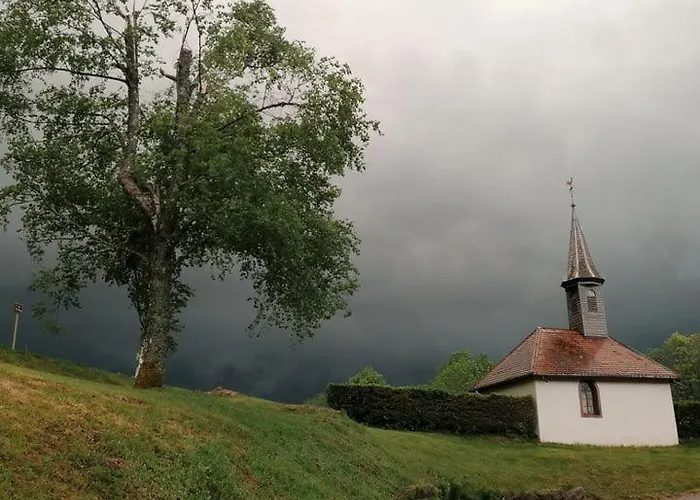 酒店 Le Brabant Bar-hotel-restaurant 拉布雷斯