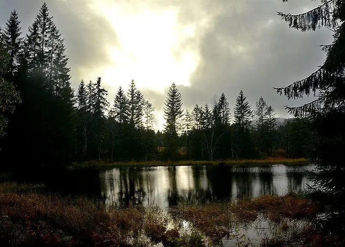 Le Brabant Bar-hotel-restaurant Отель Ла-Бресс