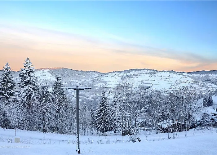 Le Brabant Bar-hotel-restaurant 3* Ла-Бресс