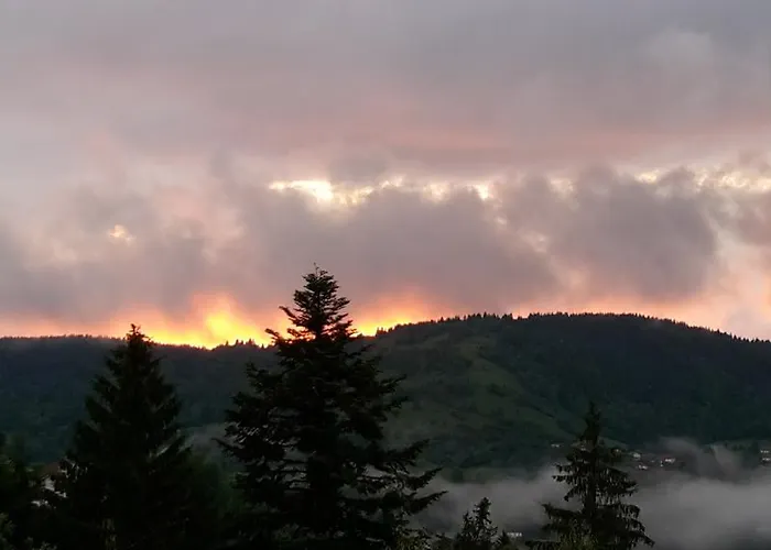 Le Brabant Bar-hotel-restaurant 3* Ла-Бресс