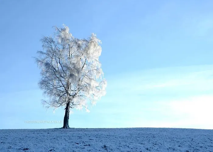 Le Brabant Bar-hotel-restaurant 酒店 3*