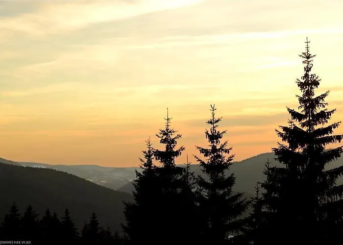 Le Brabant Bar-hotel-restaurant 3* 拉布雷斯