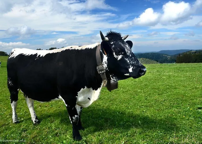 Le Brabant Bar-hotel-restaurant Отель Ла-Бресс