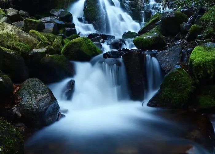 Le Brabant Bar-hotel-restaurant 3* Ла-Бресс