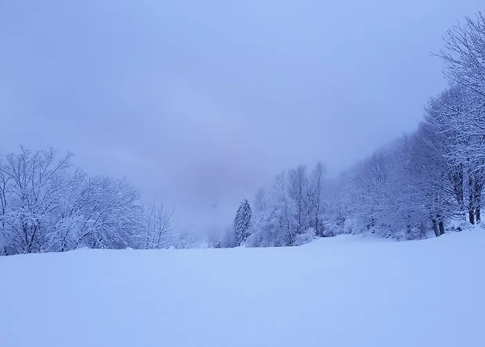 Le Brabant Bar-hotel-restaurant Отель